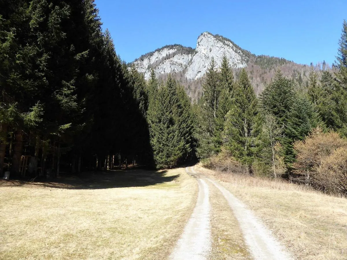 Belvilla By Oyo Pleasant Holiday Home With Garden Vigo di Cadore